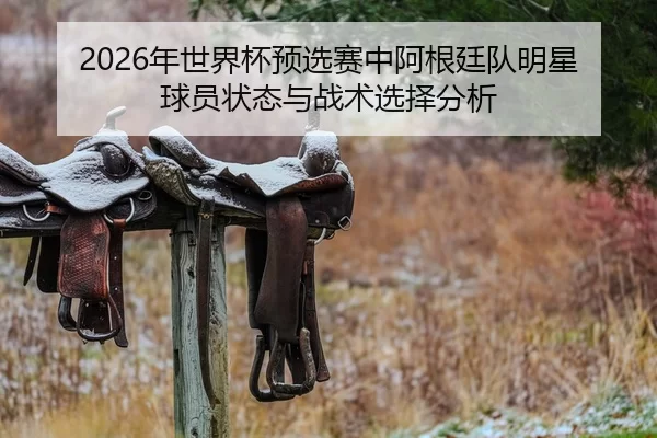 2026年世界杯预选赛中阿根廷队明星球员状态与战术选择分析
