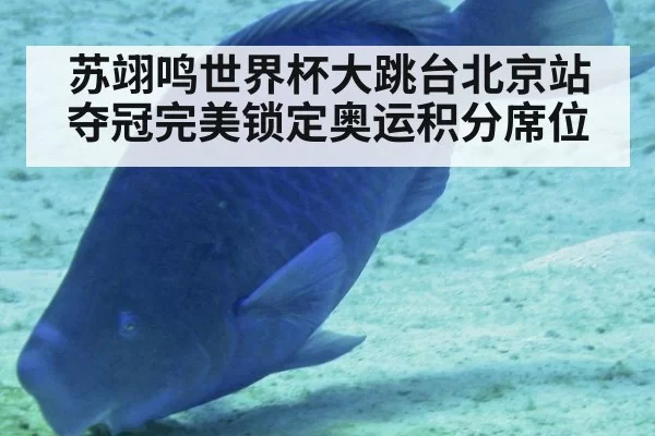 苏翊鸣世界杯大跳台北京站夺冠完美锁定奥运积分席位